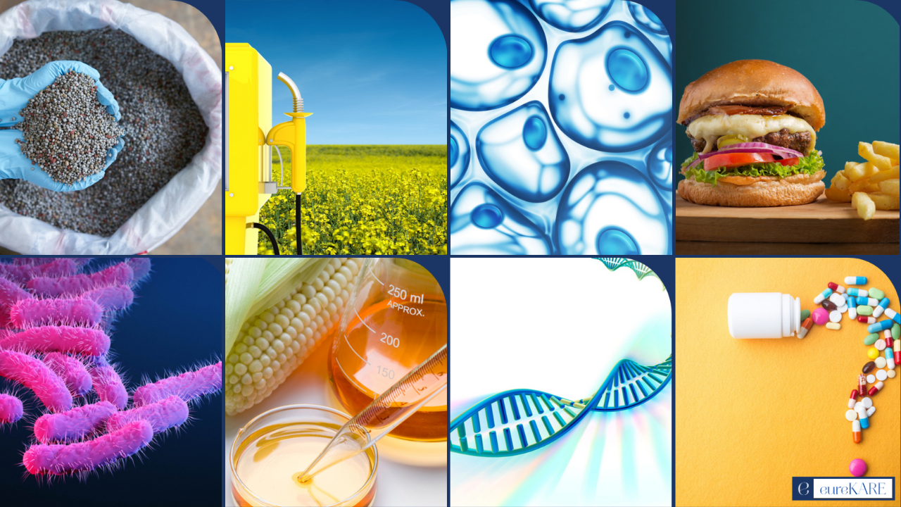 Synthetic biology – the cross-sector tool that’s pushing the boundaries of innovation
